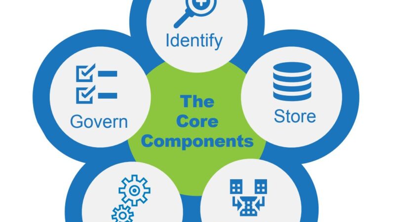 The 5 Essential Components of a Data Strategy